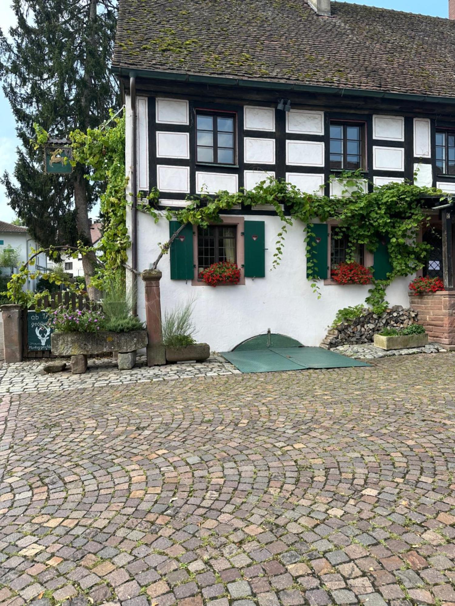 Exklusive Maisonette-Wohnung Am Rande Von Freiburg Мерцхаузен Экстерьер фото